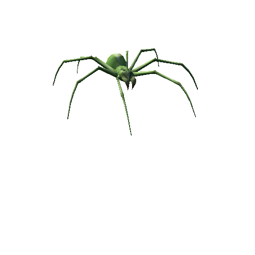 spider skn_02